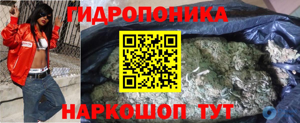 Шишки марихуана сатива Каменка